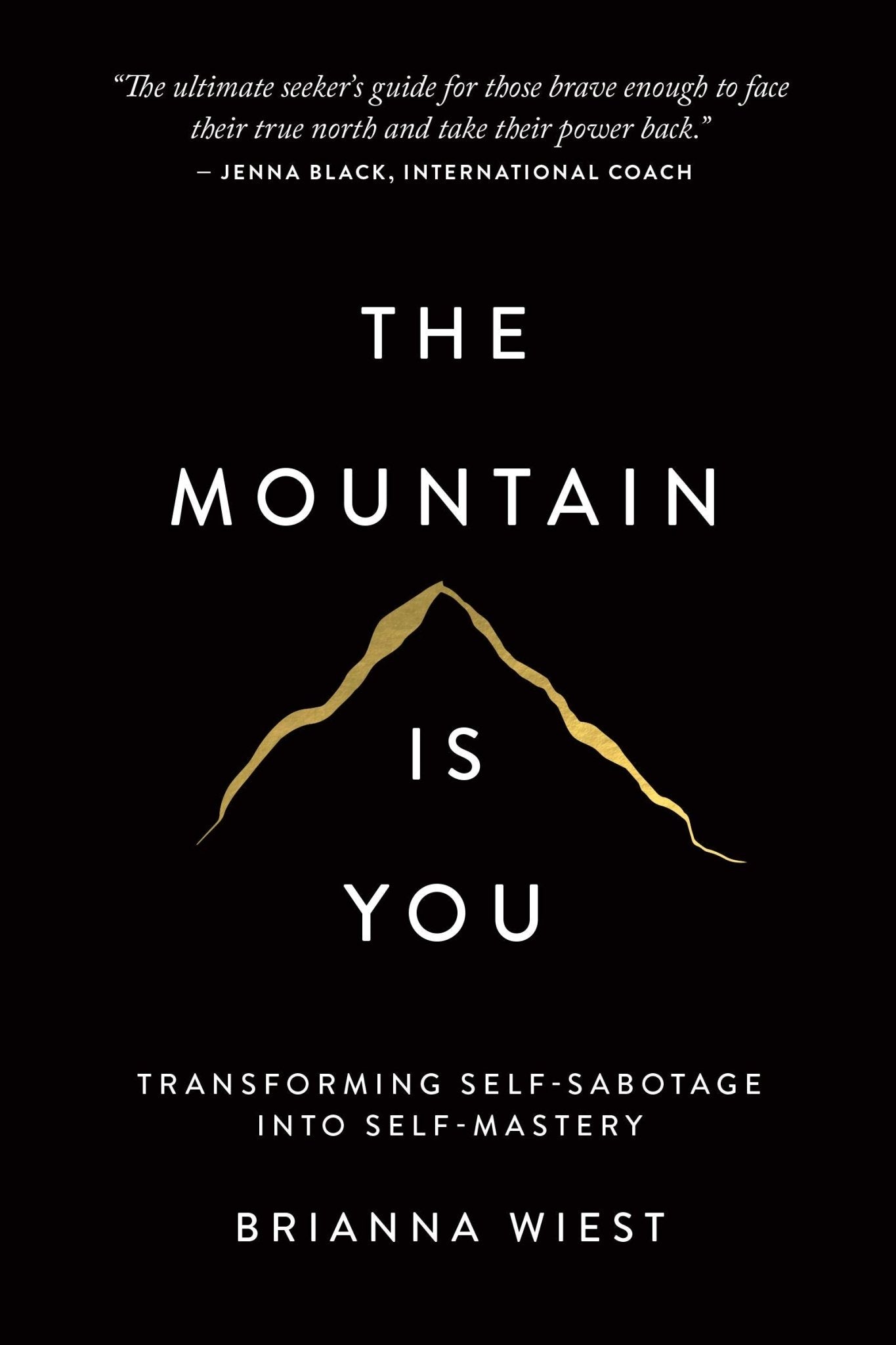 The Mountain Is you - Bookvogue